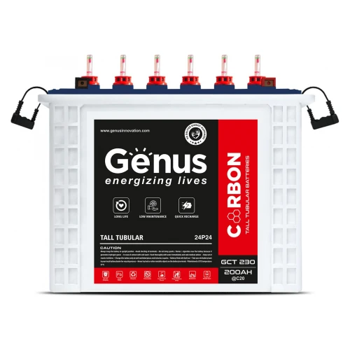 Genus High Capacity Inverter 2000 VA